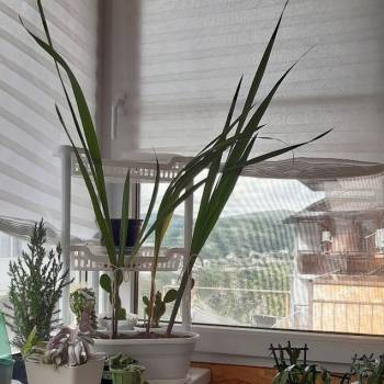 Продается 2-х комнатная квартира, 54,7 м²