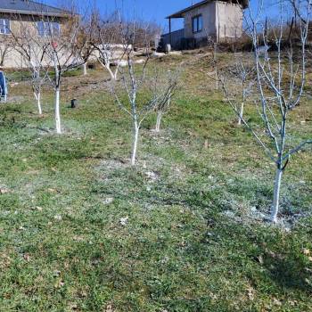 Продается Участок, 570 м²