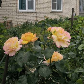 Продается Дом, 130 м²