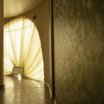 Сдается Нежилое помещение, 800 м²