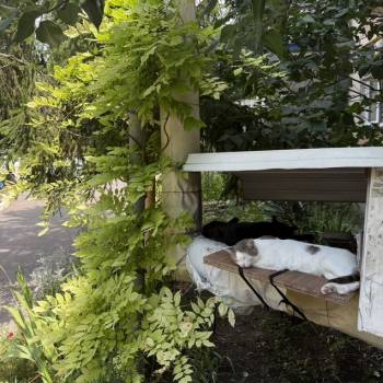 Продается 3-х комнатная квартира, 56,3 м²