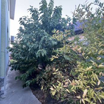 Продается Дом, 126 м²