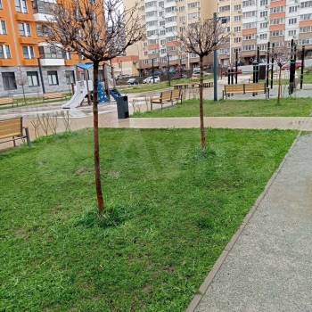 Сдается 1-комнатная квартира, 35 м²