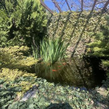 Продается Дом, 175 м²