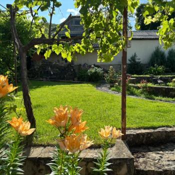 Продается Дом, 355 м²