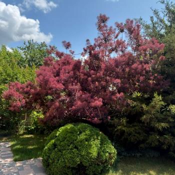 Продается Дом, 355 м²