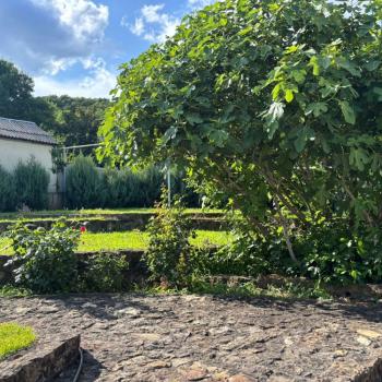 Продается Дом, 355 м²