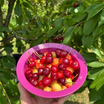 Продается Дом, 355 м²