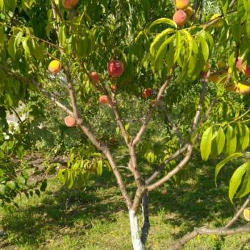 Продается Дом, 80 м²