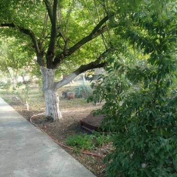 Продается Дом, 80 м²