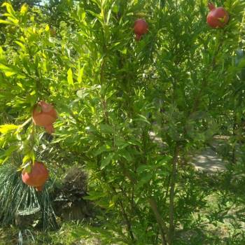 Продается Дом, 80 м²