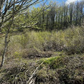 Продается Участок, 1040 м²