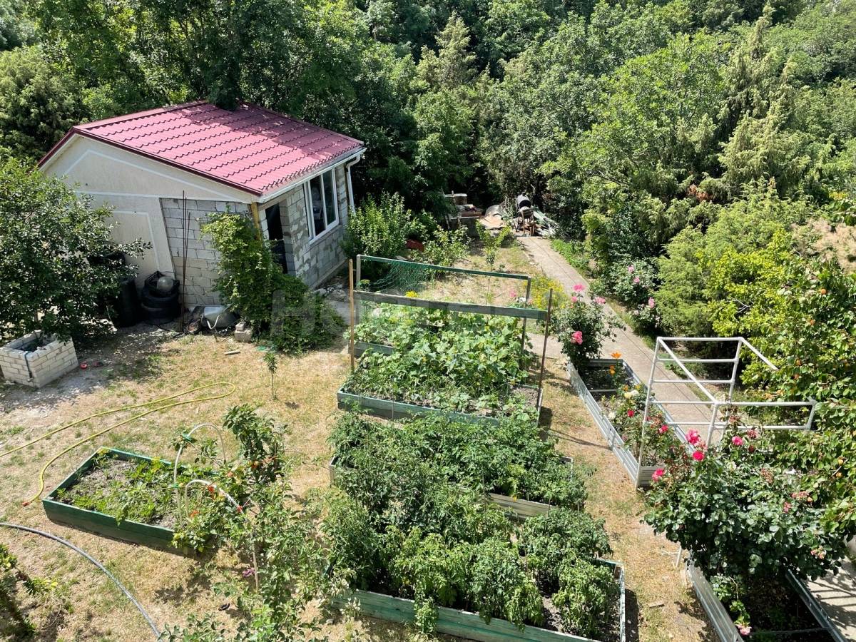 Фотография №4