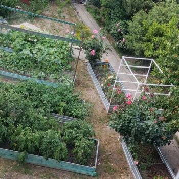 Сдается Дом, 185 м²