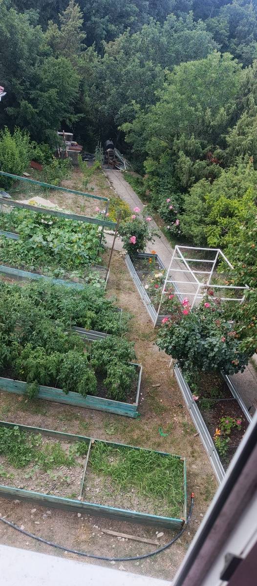 Фотография №5