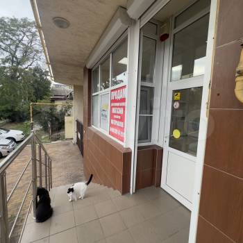 Сдается Нежилое помещение, 47 м²