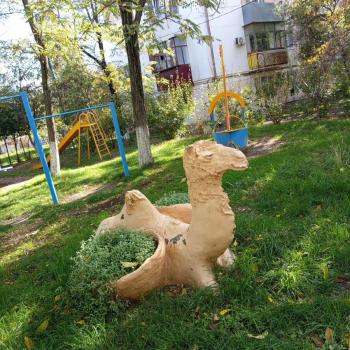 Сдается Многокомнатная квартира, 60 м²