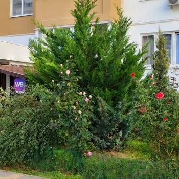 Продается 1-комнатная квартира, 38 м²