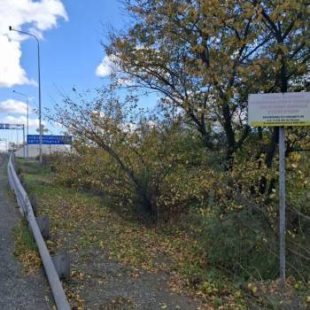 Продается Участок, 550 м²