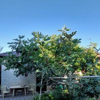 Продается Дом, 91,5 м²