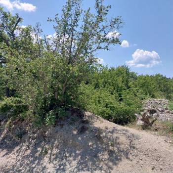 Продается Участок, 700 м²