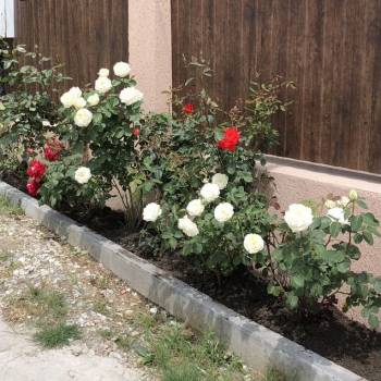 Продается Участок, 0 м²