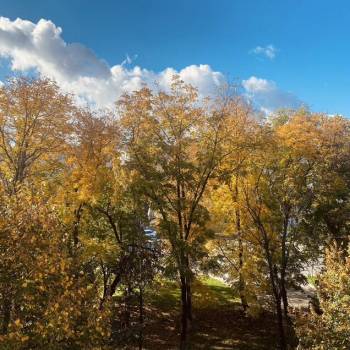 Сдается 1-комнатная квартира, 28,1 м²