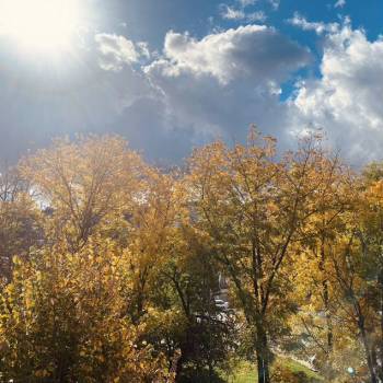 Сдается 1-комнатная квартира, 28,1 м²