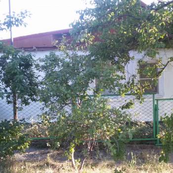 Сдается Дом, 54 м²