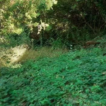 Продается Участок, 700 м²