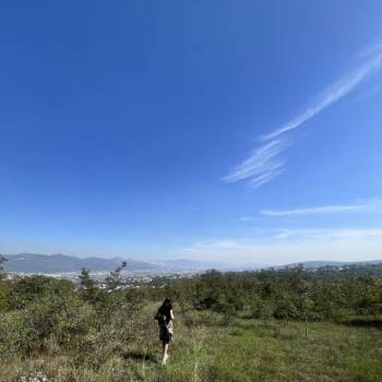 Продается Участок, 600 м²