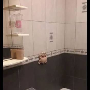 Сдается 2-х комнатная квартира, 52 м²