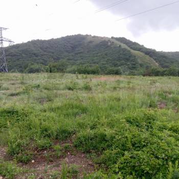 Продается Участок, 24950 м²