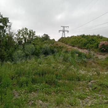 Продается Участок, 24950 м²