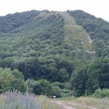 Продается Участок, 24950 м²