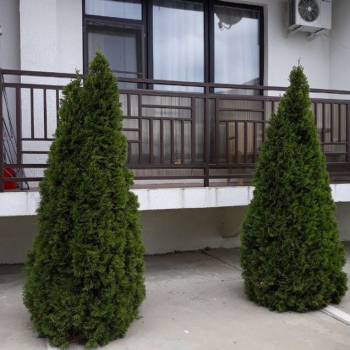 Сдается 1-комнатная квартира, 52 м²