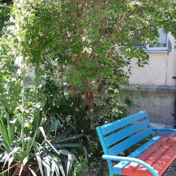 Сдается 2-х комнатная квартира, 44 м²