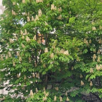 Продается 1-комнатная квартира, 39 м²