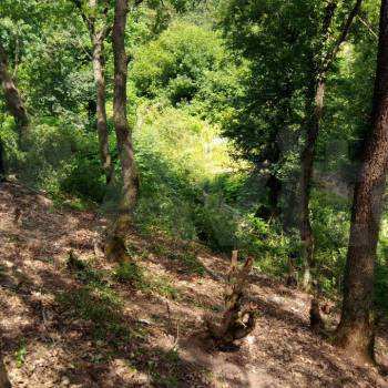 Продается Участок, 490 м²