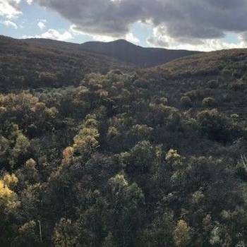 Сдается 1-комнатная квартира, 43,8 м²