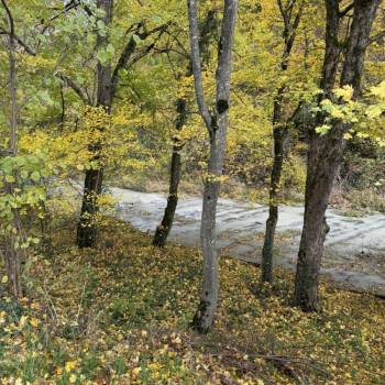 Продается Дом, 88 м²