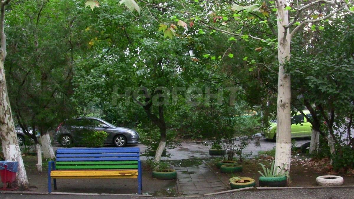 Фотография №2