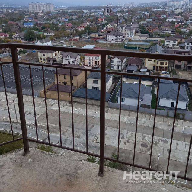 Фотография №2