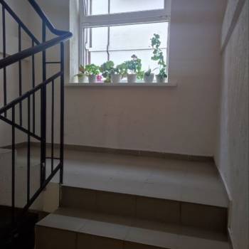 Продается 1-комнатная квартира, 23,5 м²