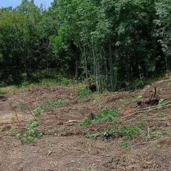 Продается Участок, 600 м²