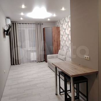 Сдается 1-комнатная квартира, 24,1 м²