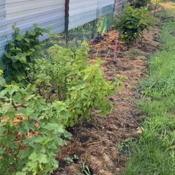 Продается Участок, 620 м²