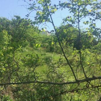 Продается Участок, 530 м²