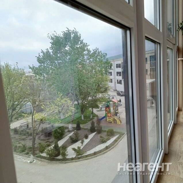 Фотография №2