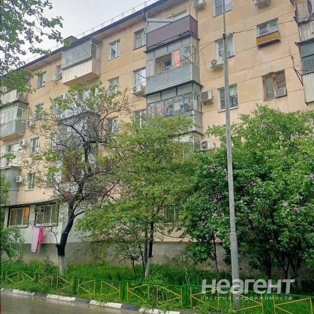 Фотография №3